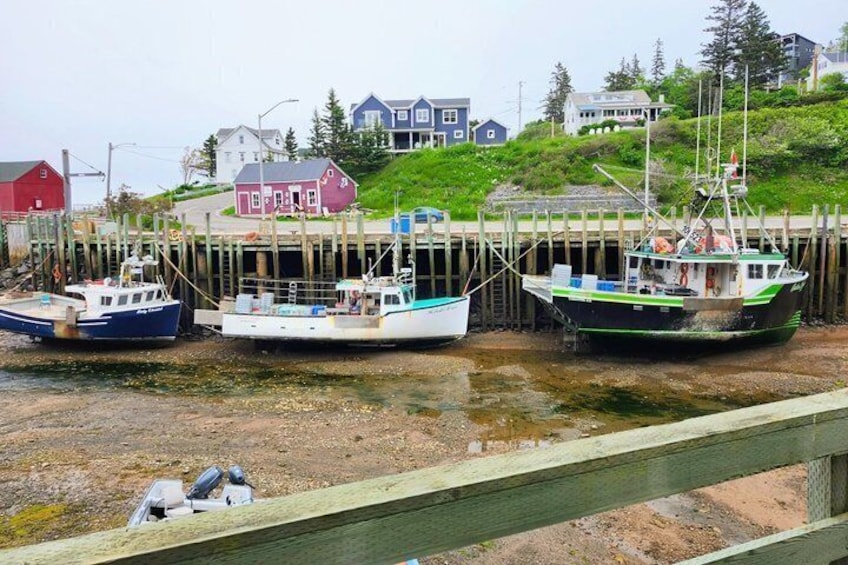 Three boats docked at a pier with houses and greenery in the background. 2