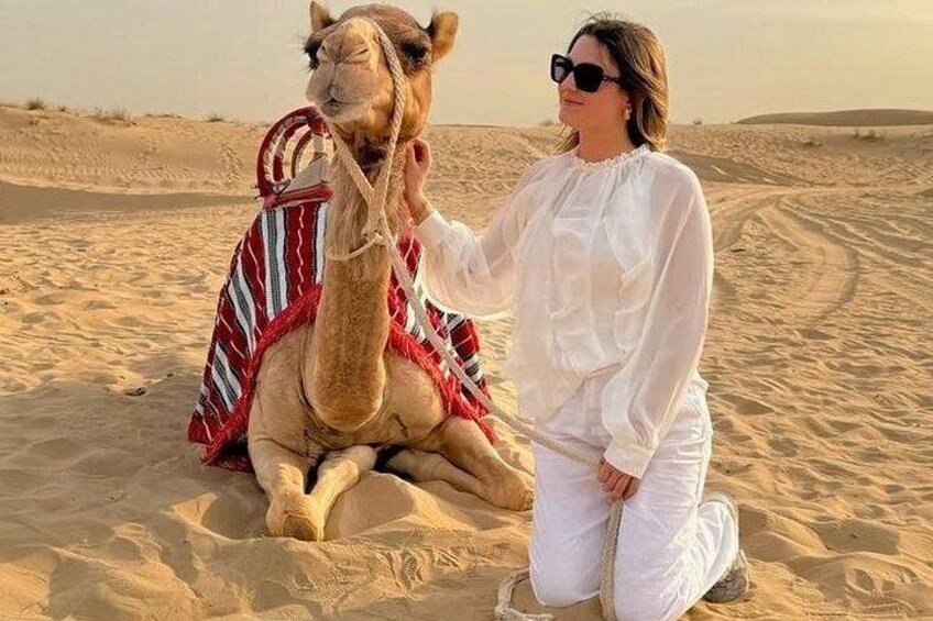 Camel Pic 2