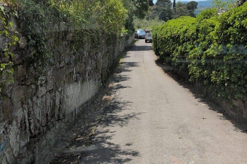 Golf Cart Tour of Florence Michelangelo & Hills with Food Tasting 5