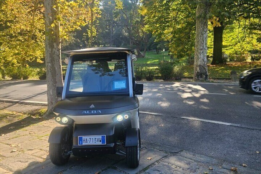 Un SUV compacto estacionado en una calle pavimentada, con árboles al fondo. 4