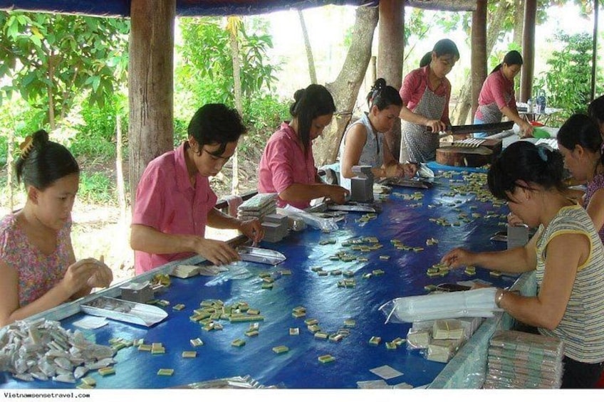 Explore the Mekong Delta,Cai Be & Tan Phong Island in a Day 5