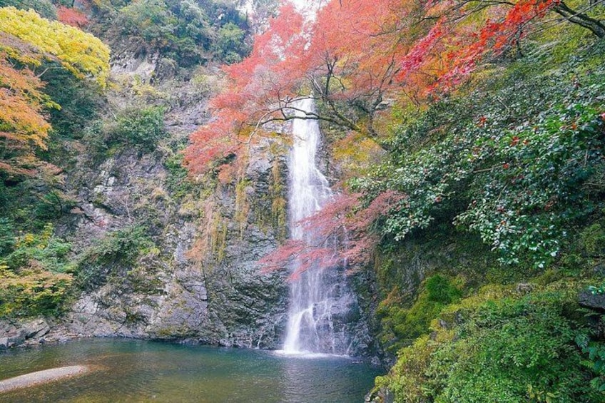 Osaka Early Bird Trail in Katsuo-ji and Minoh Falls 3