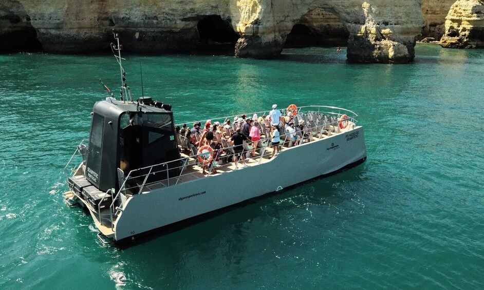 Picture 7 for Activity Lagos: Dolphins & Benagil Caves Catamaran - Marine Biologist 3
