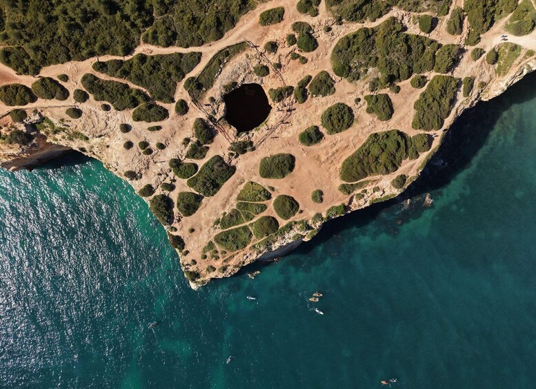 An aerial view of a coastal area with a large body of water, a rocky shoreline, and scattered vegetation. 5