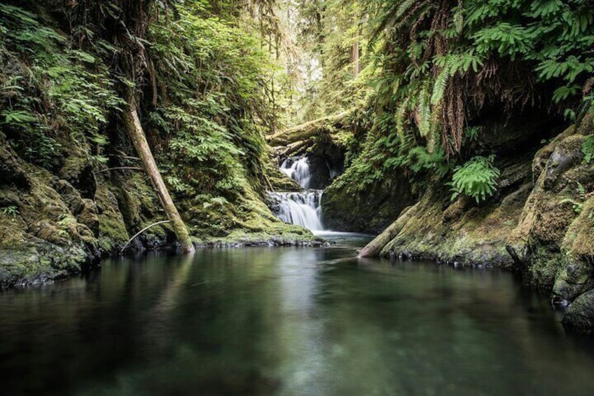 A forested area with a waterfall and a calm river. 2