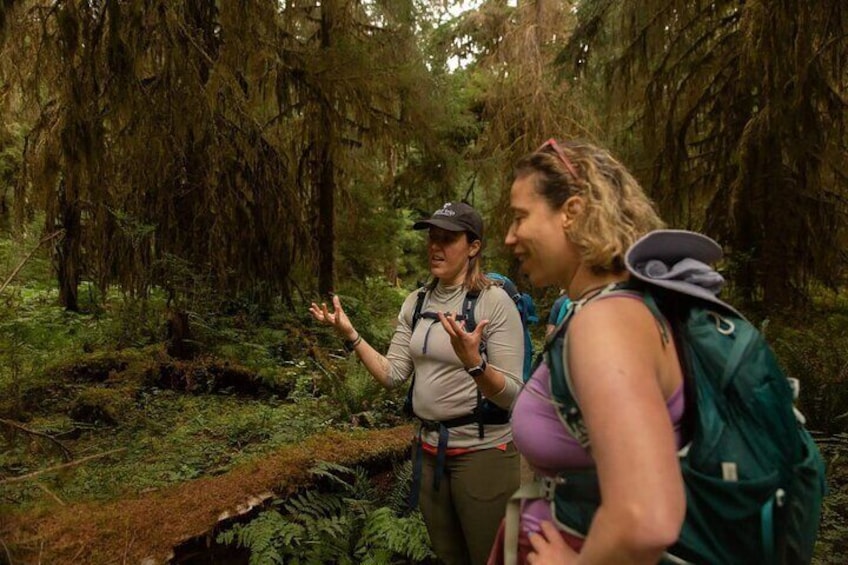 Two hikers in a forested area with dense trees and moss-covered ground. 5