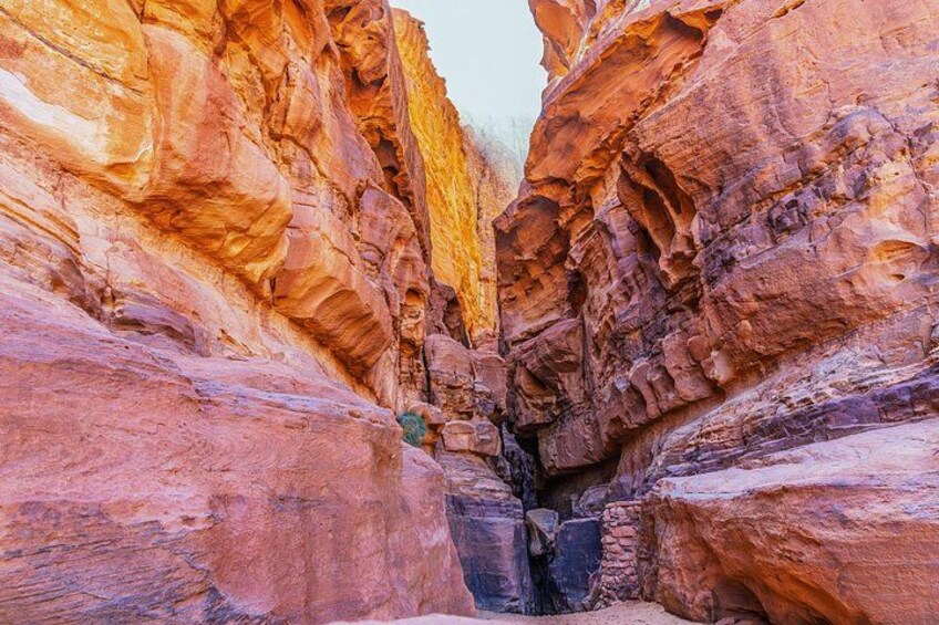 Wadi Rum Desert Adventure Private Shore Tour from Aqaba 2