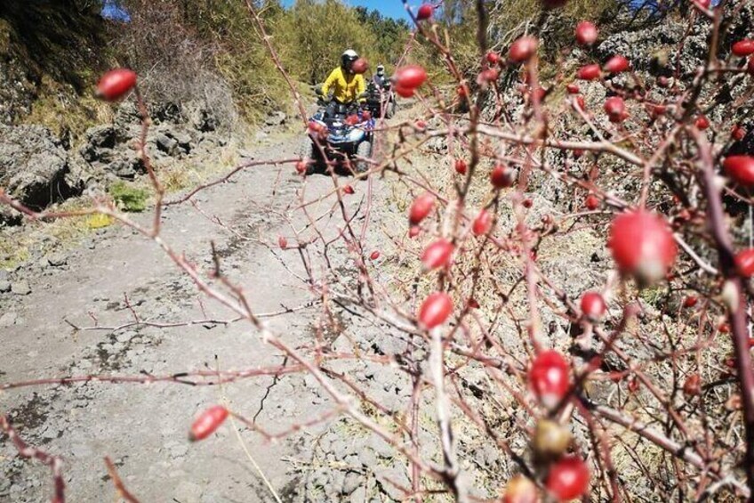 Etna Hard Tour