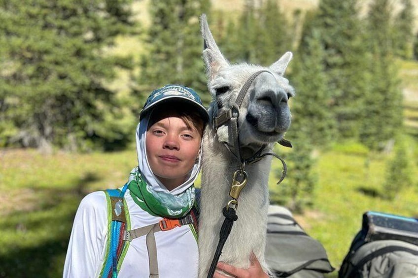 Experience Llamas | Bozeman Llama Farm Tours 2