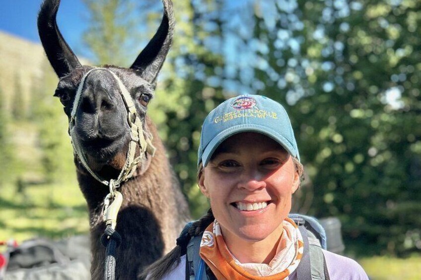 Experience Llamas | Bozeman Llama Farm Tours 3