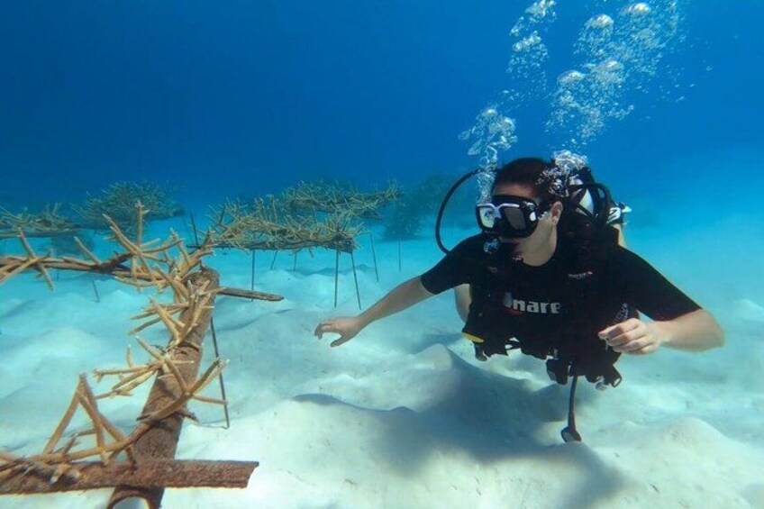 A diver underwater with coral formations and sandy ocean floor. 2