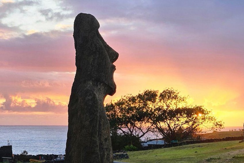 The Great Awakening of the 15 Dawn in Ahu Tongariki 5
