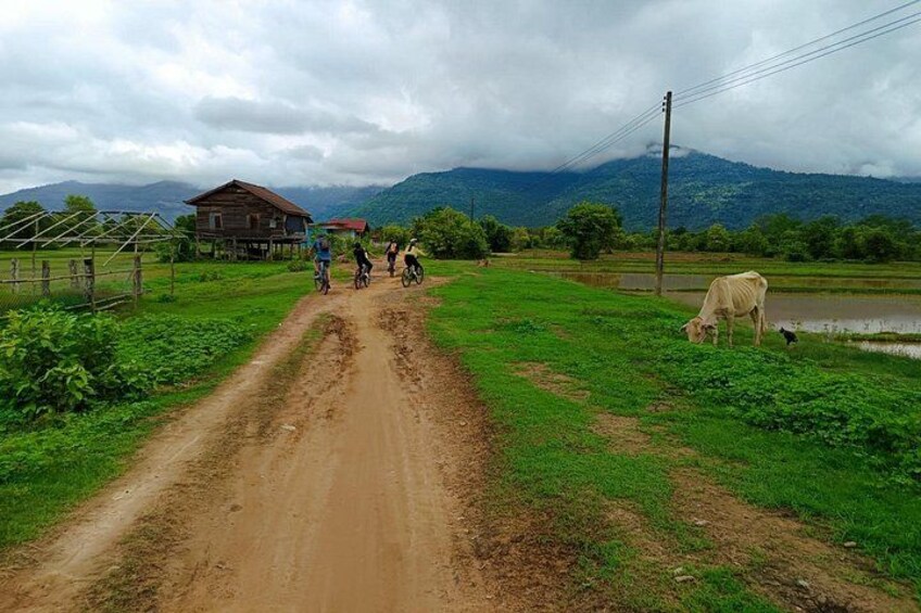 A dirt road, a group of cyclists, a cow, and a house in a rural landscape with mountains in the background. 5