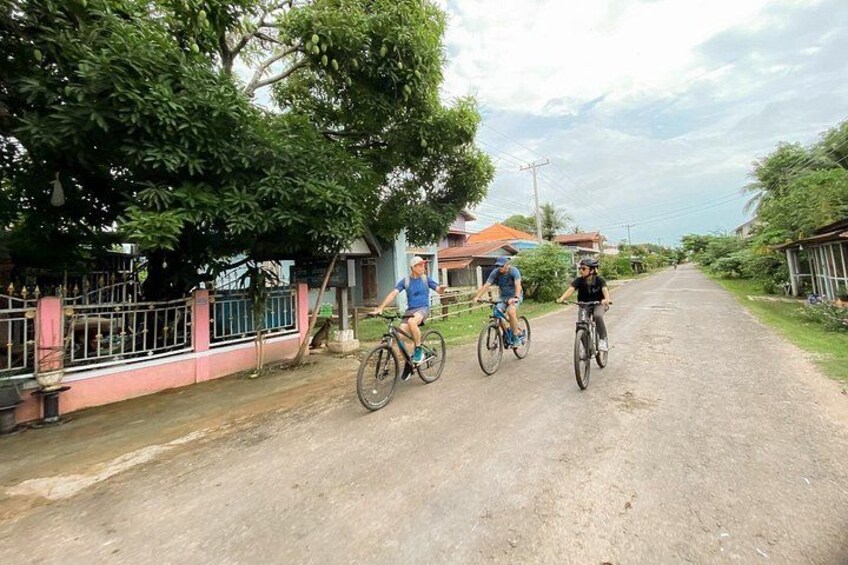 Three cyclists on a rural road with houses and trees on the sides. 3