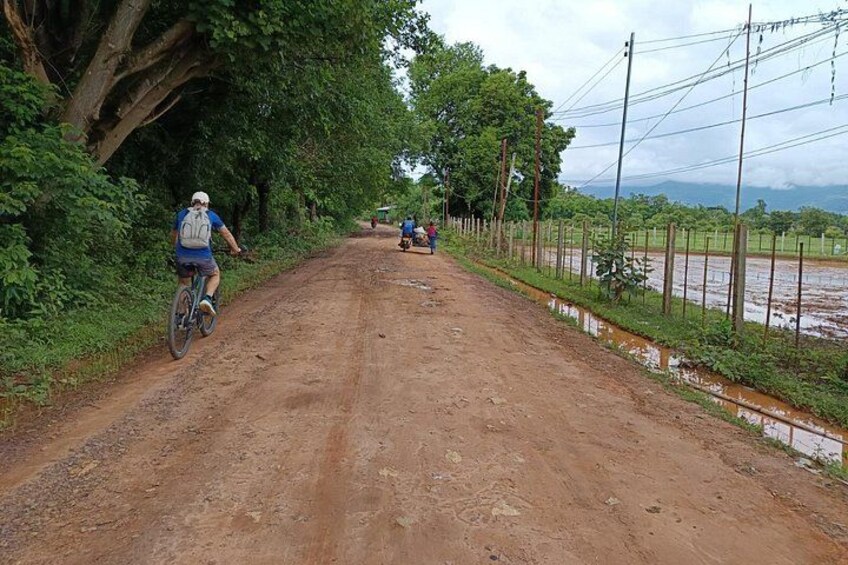 A dirt road flanked by trees and a fence, with a cyclist and a person walking in the distance. 2