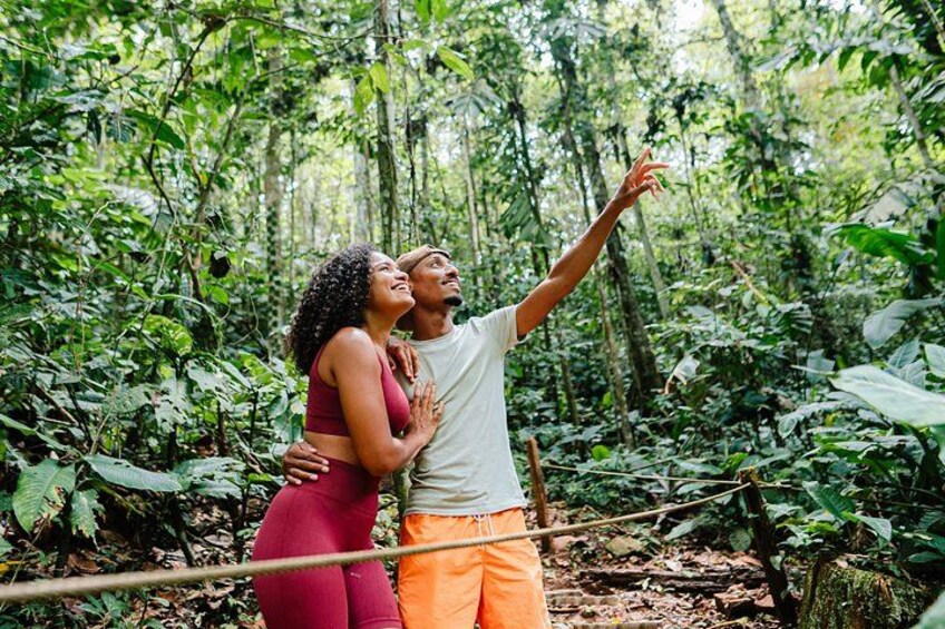 A couple in a forest, one pointing upwards, surrounded by dense green foliage. 3