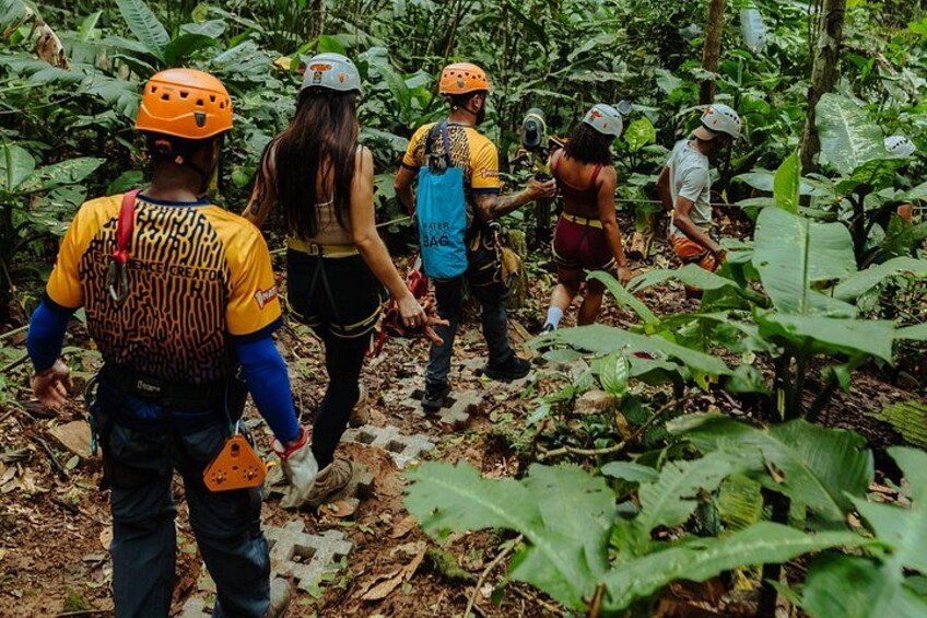 A group of people hiking through a dense forest with large green leaves and trees. 1