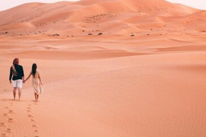 Abu Dhabi Desert Safari Dune Bashing, Camel Rides and Dinner 4