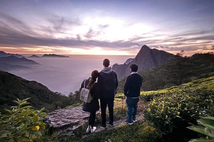 Munnar 2 Day Private Tour Tea Plantation and Kolukkumalai Sunrise 1