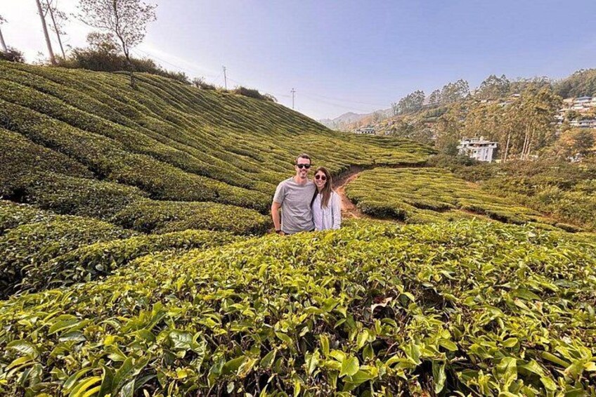 Munnar 2 Day Private Tour Tea Plantation and Kolukkumalai Sunrise 2