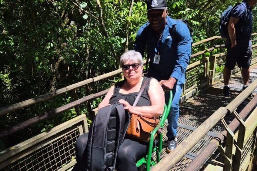 A person sitting on a wooden bridge with metal railings, surrounded by dense green foliage. 2