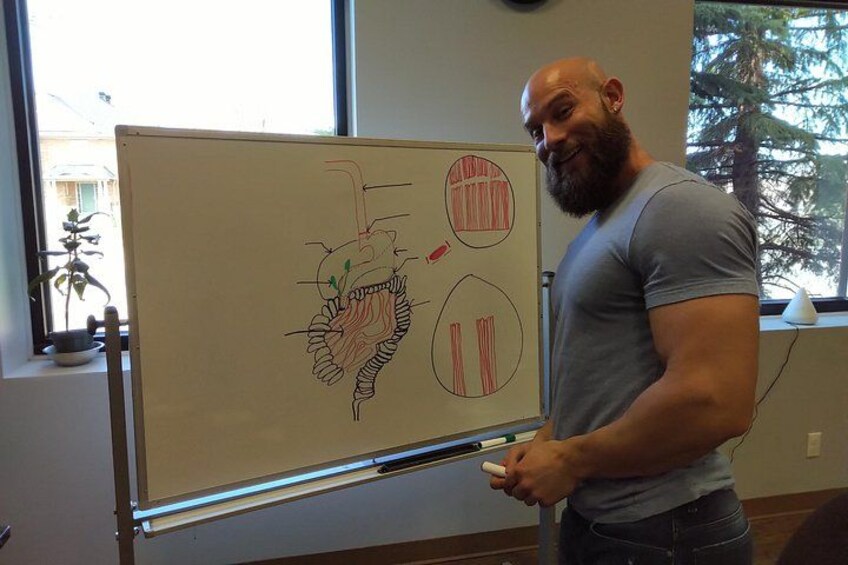 Teaching Understand your Gut 4