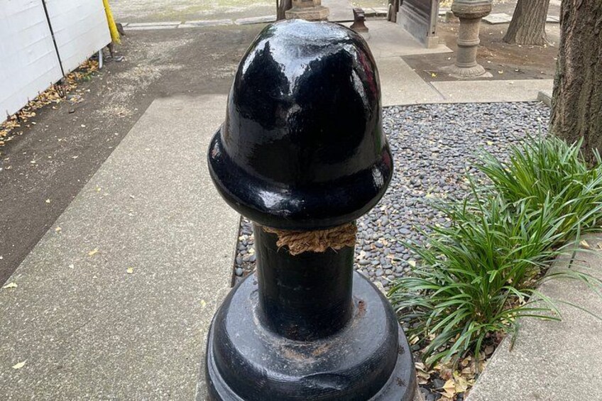 A black fire hydrant on a sidewalk with a tree and plants nearby. 2