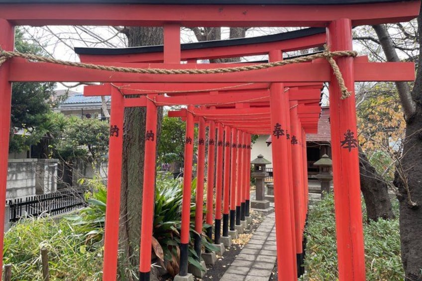 Un percorso delimitato da un torii rosso conduce a un santuario. 2