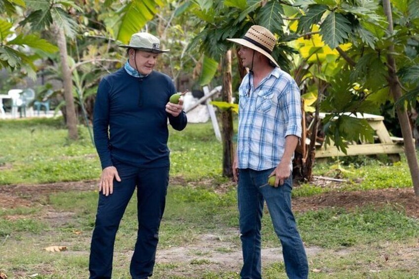 Tropical Fruit Hunting Tour at Grimal Grove 3