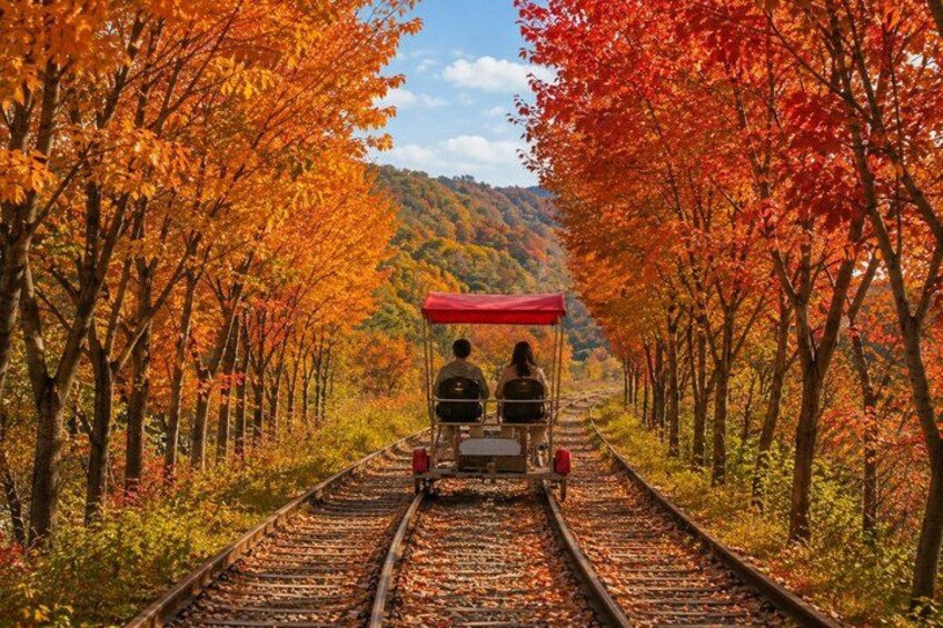Private Nami Island & Surrounding Attractions Tour 1