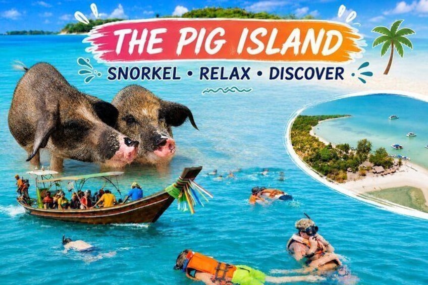 Un bote con gente haciendo snorkel, un cerdo y una playa. 2