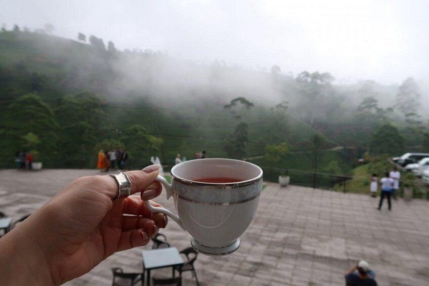 Labookellie Tea Factory Tour from Nuwara Eliya 1