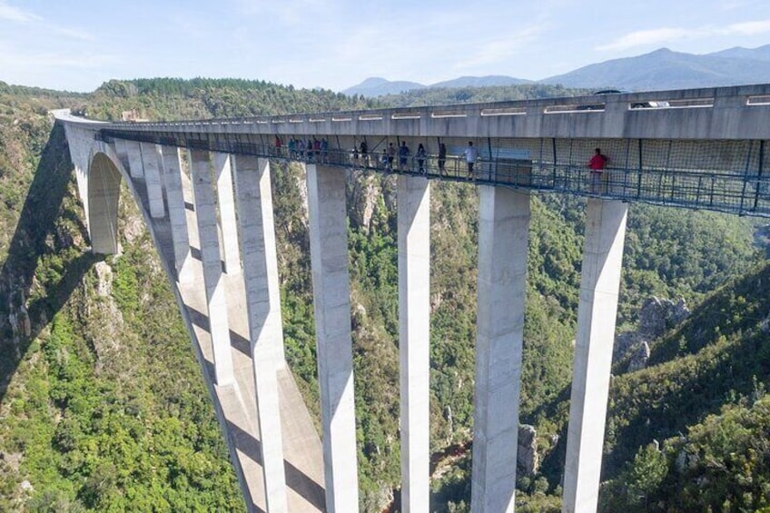 Un grand pont en béton, doté de nombreuses arches, enjambant une vallée. 2