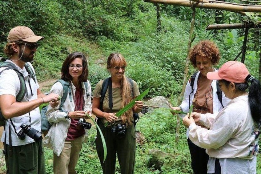 A group of hikers in a forested area with dense vegetation and a bamboo structure in the background. 4