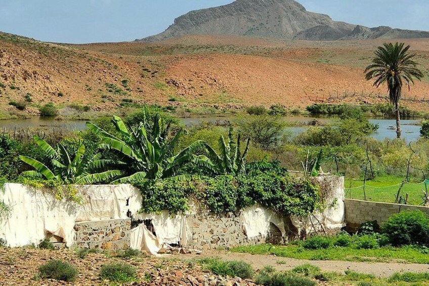 A desert landscape with a river, palm trees, and a mountain in the background. 5