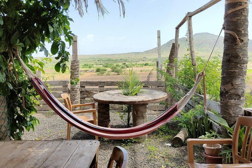 A hammock between trees, a wooden table, and chairs in a rural outdoor setting. 2