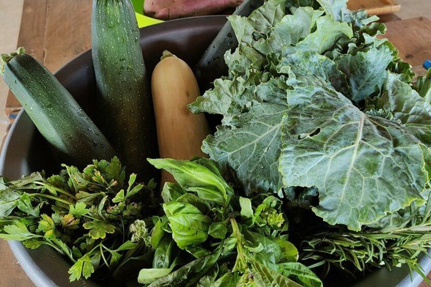 A bowl of fresh vegetables including zucchini, eggplant, and leafy greens. 2