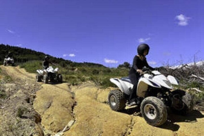 Electric Quad Ride and Wine Tasting on the Mountains 2