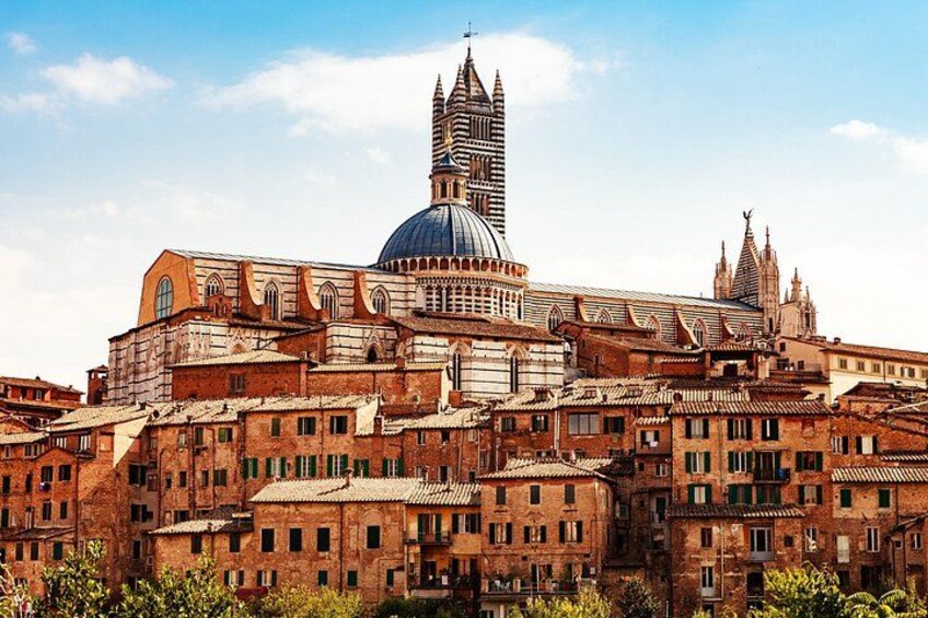 At Your Own Pace: Discovering Siena & Tuscany 1