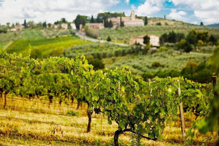 At Your Own Pace: Discovering Siena & Tuscany 4