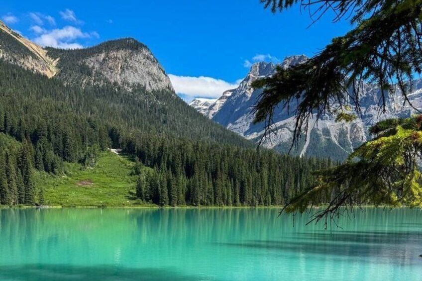 Emerald, Moraine, Lake Louise,Canyon, Tour in Banff/Yoho Parks 5