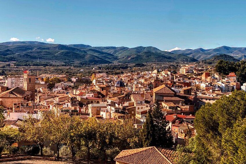 A town with buildings, trees, and mountains in the background. 5