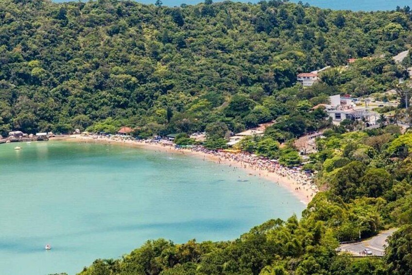 A coastal landscape with a beach, dense forest, and a few buildings. 2