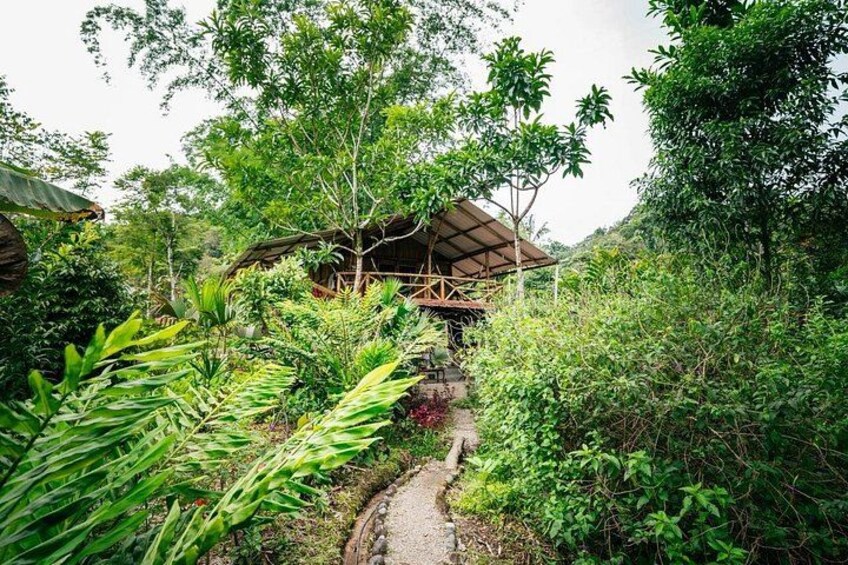 Jungle experiences, 3 days 2 nights 1