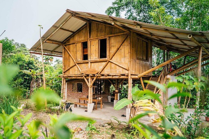 Jungle experiences, 3 days 2 nights 5