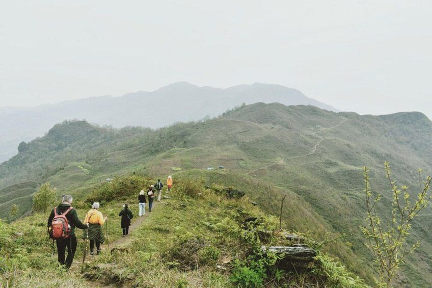 Trekking through the lush green mountains of Sapa 4