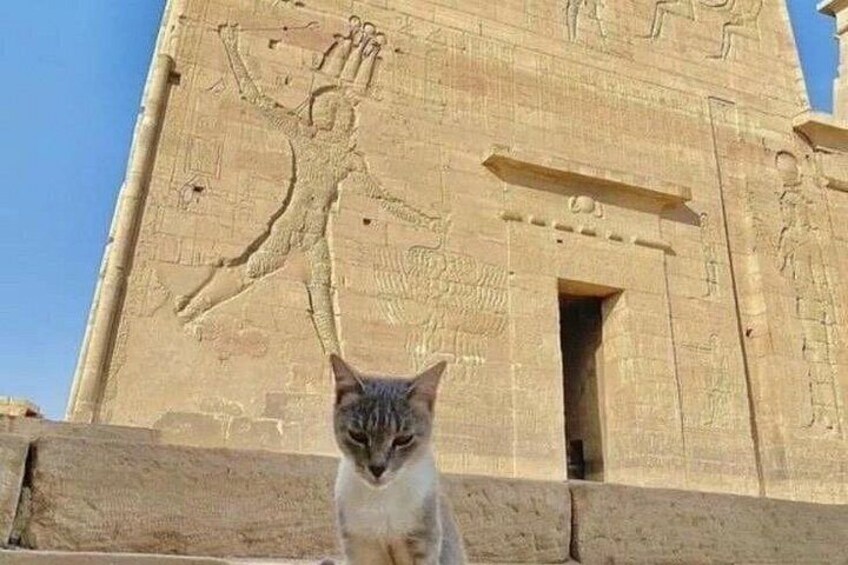 Luxor Private Tour To Esna, Edfu Temple and Kom Ombo Temple 2