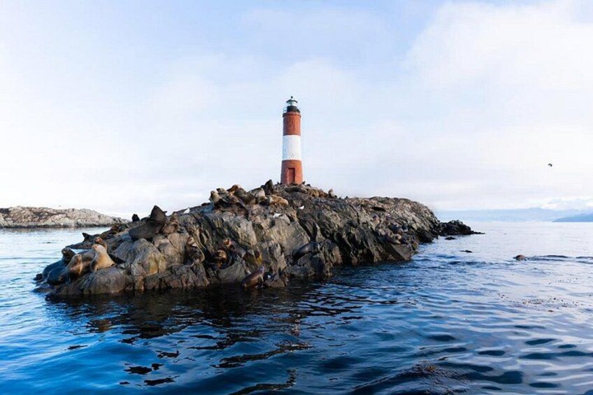 Navigation Canal Beagle Wolves, Birds and Lighthouse 4