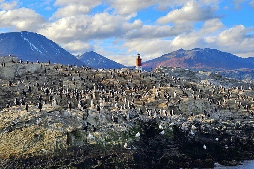 Navigation Canal Beagle Wolves, Birds and Lighthouse 2