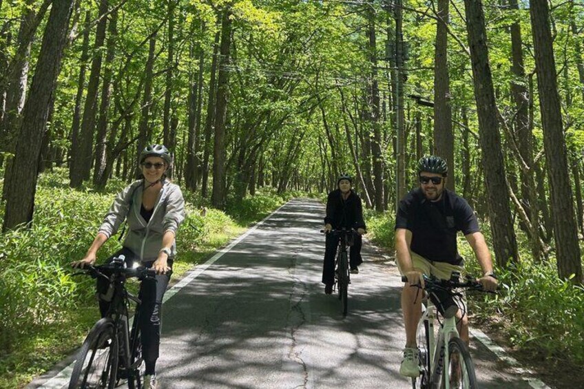 Nikko: Lake Chuzenji Hidden Beach E-Bike Tour with Lunch 3